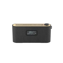 LOEWE Radio. frequency