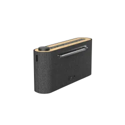 LOEWE Radio. frequency