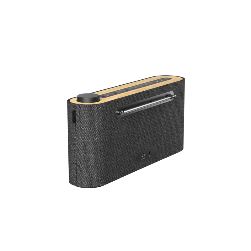 LOEWE Radio. frequency
