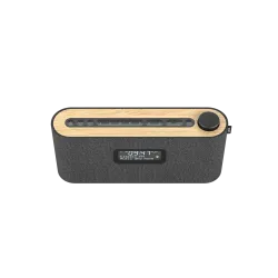 LOEWE Radio. frequency