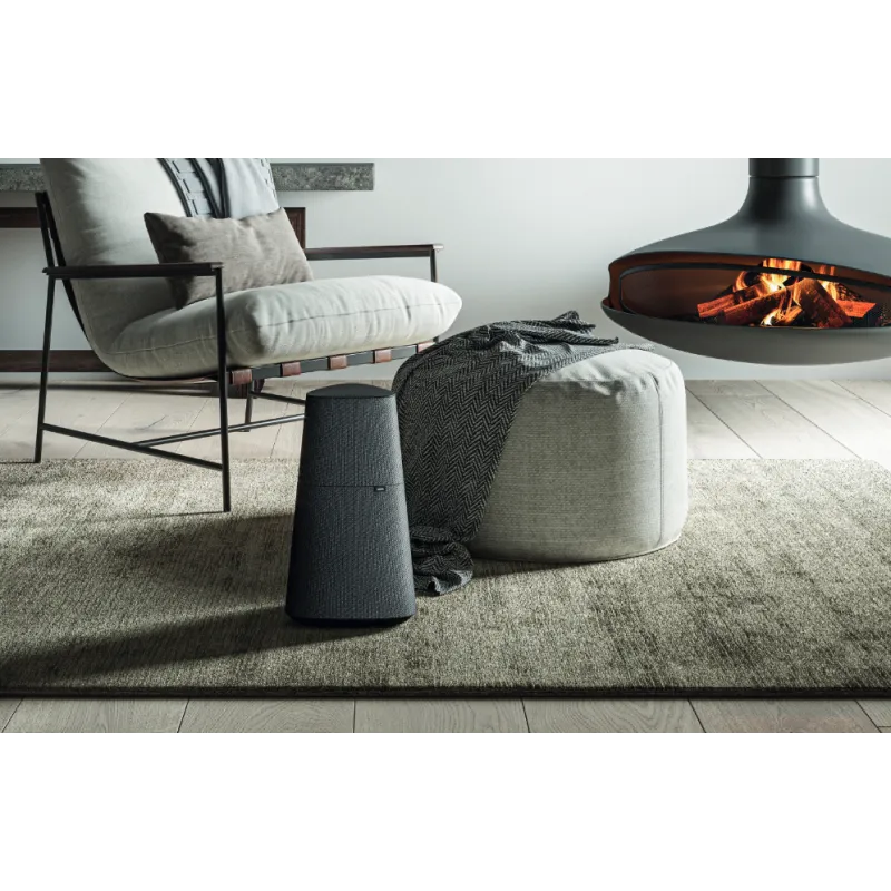LOEWE Klang mr5
