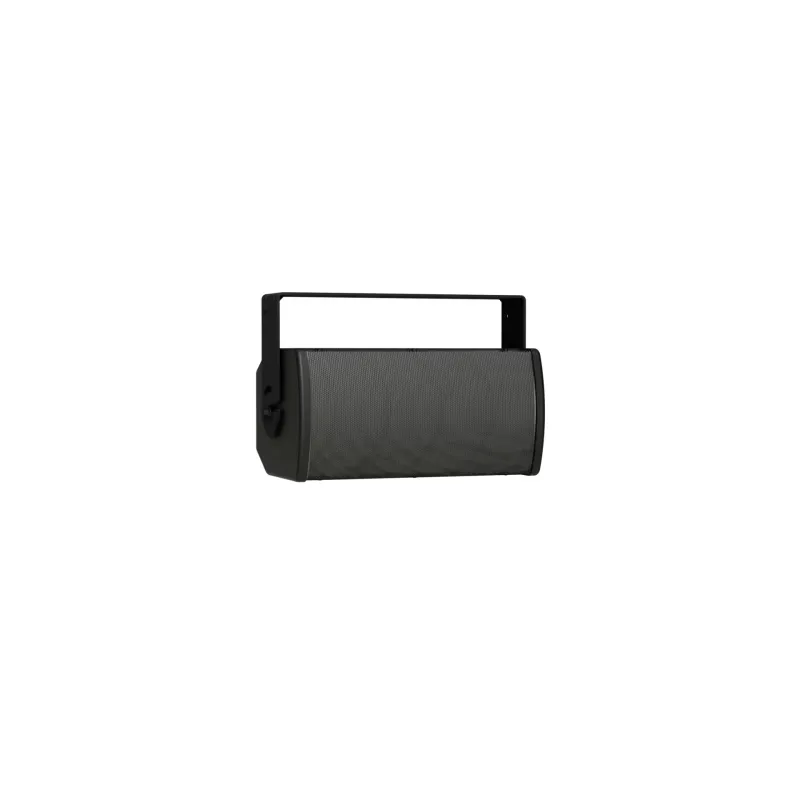 BOSE PRO ArenaMatch Utility AMU105